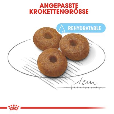 Royal Canin Maxi Starter Mother&Babydog