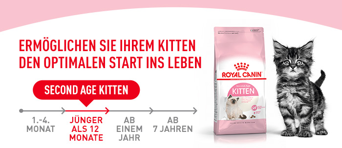 Royal Canin Kitten