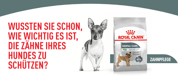 Royal Canin CCN Mini Dental Care