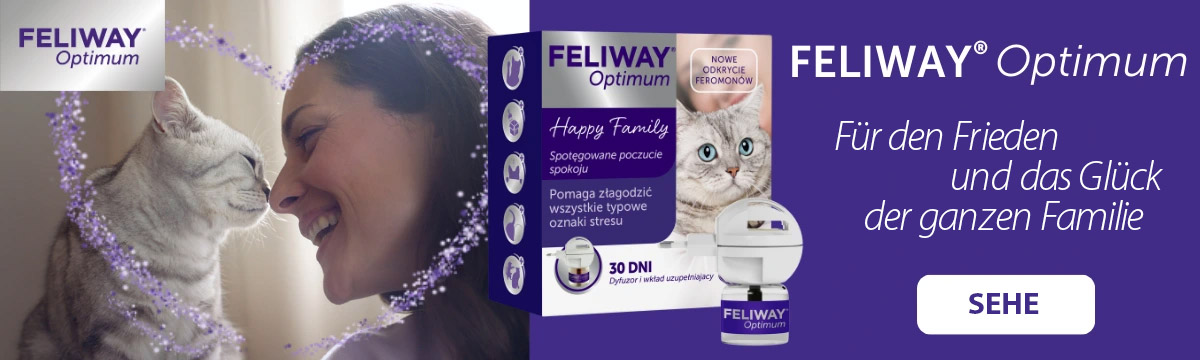 Feliway - 11.10.2024