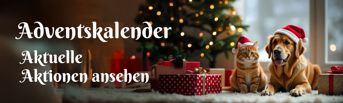 Adventskalender - 21.12.2024