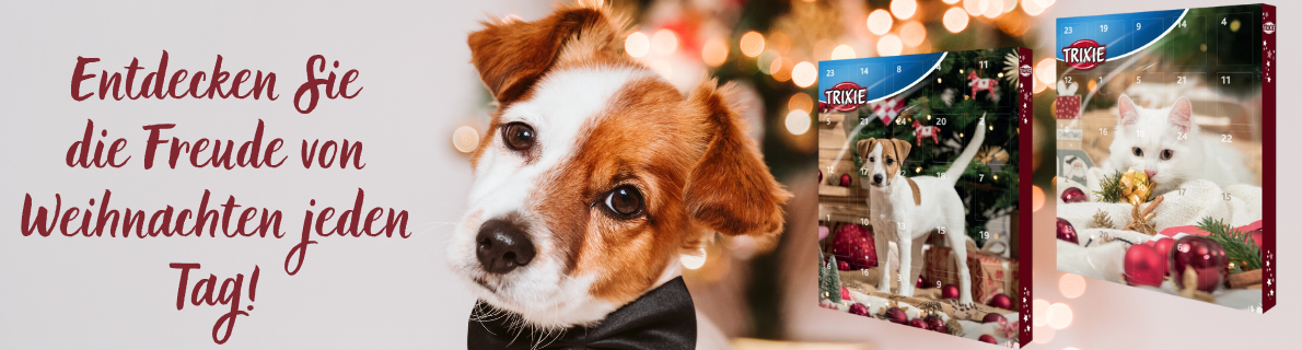 Adventskalender 3.11.2025