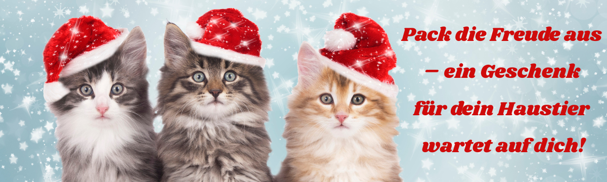 Weihnachtsgeschenke (Kotki trzy)