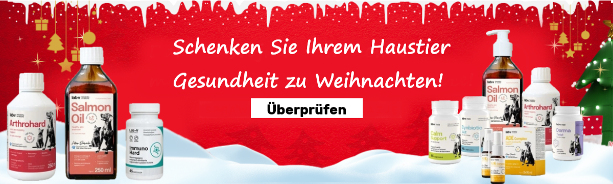 LAB-V Weihnachten 08.12.2025