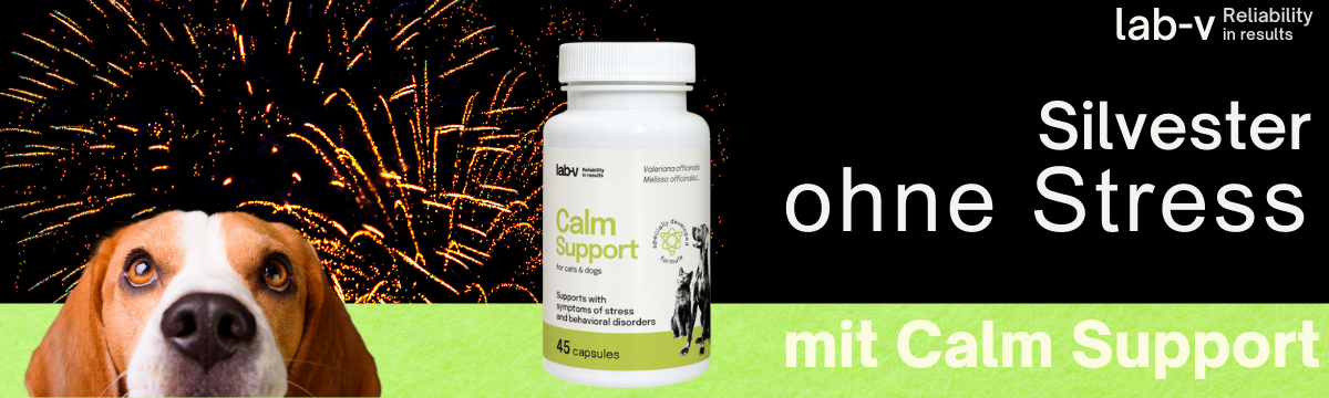 lab-v Silverster 11.12.2025