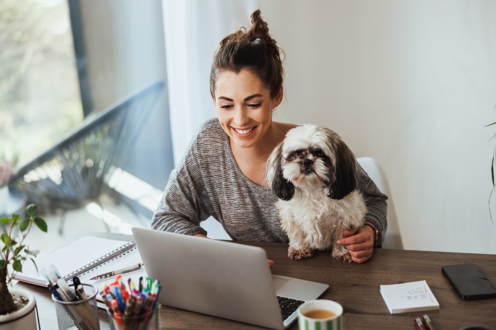 DER HUND IM BÜRO UND DIE PRODUKTIVITÄT DER MITARBEITER - FINDEN SIE HERAUS, WIE SIE EINE HAUSTIERFREUNDLICHE UMGEBUNG AM ARBEITSPLATZ SCHAFFEN KÖNNEN