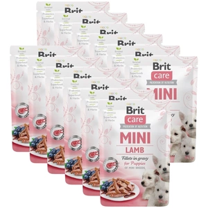 BRIT CARE Mini-Lammfilets in Bratensoße für Welpen 12x85g
