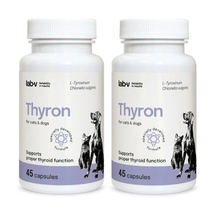 Thyron – Unterstützung der normalen Schilddrüsenfunktion, 2x45 Kapseln
