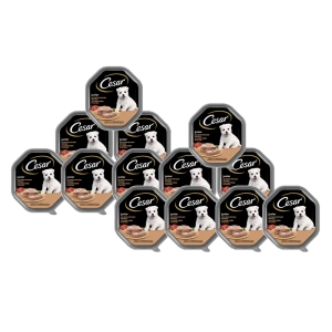 CESAR Junior Schale 14x150 g – Alleinfuttermittel für Welpen, mit Truthahn und Kalbfleisch, in Pastete