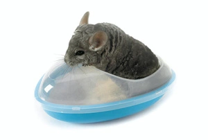 SAVIC Badekäfig für Chinchillas 26x23x15cm