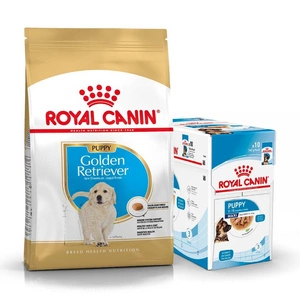 ROYAL CANIN Golden Retriever Junior 12kg + Nassfutter GRATIS!