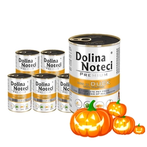 Dolina Noteci Premium Ente mit Kürbis 6x400g