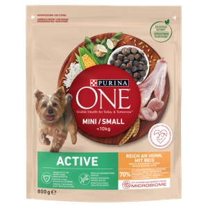 PURINA ONE Mini Active Huhn, Reis - Hundetrockenfutter - 800g