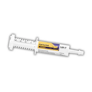 Lab-V CarboVet Fohlen – Ergänzungsfuttermittel zur Anwendung bei Vergiftungen sowie nach Verdauungsstörungen mit Blähungen und übermäßiger Darmfermentation für Fohlen 20 ml
