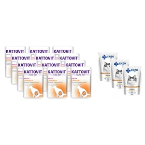 Kattovit Urinlachs 12x85g-Beutel + ENZO VET Urinary mit Huhn in Sauce für Katzen 3x100g