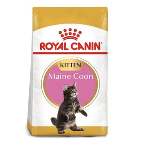 ROYAL CANIN Maine Coon Kitten 400g + Überraschung für die Katze