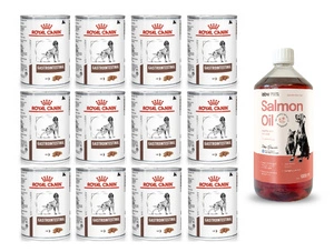 ROYAL CANIN Gastro Intestinal GI25 12x400g + LAB V Lachsöl 1000ml