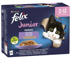 FELIX Fantastic Junior im Gelee, 12x85g