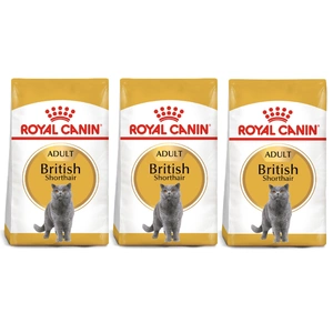 ROYAL CANIN British Shorthair 3x10kg