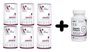 VETEXPERT Veterinary Diät Hepatische Hund 6x400g + LAB-V Hepato Protect 45 Kapseln
