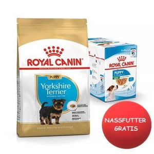 ROYAL CANIN Yorkshire Terrier Junior 7,5kg +Nassfutter GRATIS!