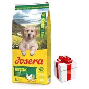 JOSERA YoungStar - getreidefrei 12,5 kg + Überraschung für den Hund