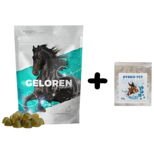 GELOREN HA Gelenkunterstützungsgel für Pferde 450G + LAB-V Hydro Vet Foal - Futtermischung 22g