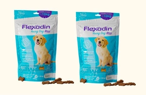 VETOQUINOL Flexadin Young Dog Maxi 2x60 Kapseln