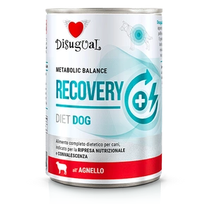 Disugual Veterinary RECOVERY Lamm Nassfutter für Hunde (Erwachsene) 400g