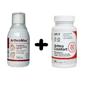 Arthromax 250ml + LAB-V Arthro Comfort 45 Kapseln