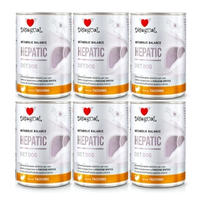 Disugual Veterinary Nassfutter für Hunde HEPATIC Truthahn (Erwachsene) 6x400g