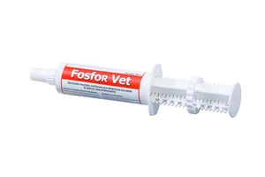 LAB-V Phosphorus Vet - Mineralisches Ergänzungsfuttermittel für Kühe in der periparturalen Phase zur Verbesserung der postpartalen Verzögerung 100ml