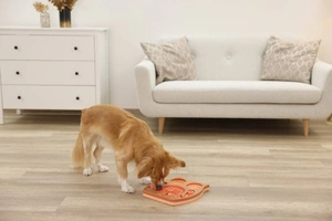 Kerbl Lernspielzeug für Hunde, Eule, rosa/braun, 30 x 28 cm