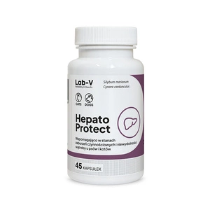 Lab-v Hepato Protect – Unterstützung der Leberfunktion für Hunde und Katzen, 45 Kapseln