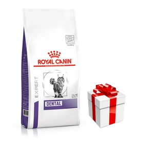 ROYAL CANIN Dental S/O DSO 29 3kg + Überraschung für die Katze