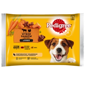 Pedigree Vital Protection Komplette Nahrung in Sauce 4 x 100 g