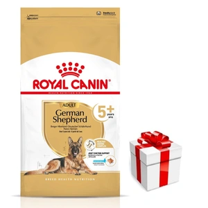 ROYAL CANIN German Shepherd Adult +5 (Deutsche Schäferhunde) 12kg + Überraschung für den Hund