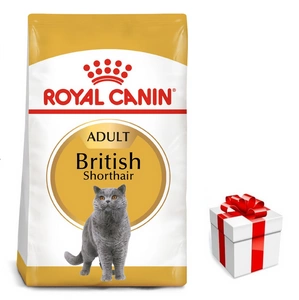 ROYAL CANIN British Shorthair 10kg + Überraschung für die Katze