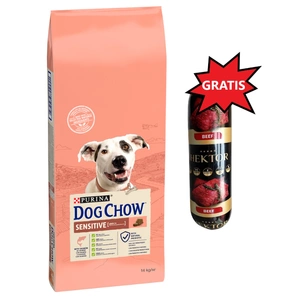 PURINA Dog Chow Adult Sensitive Salmon 14kg + Hektor 900g GRATIS!