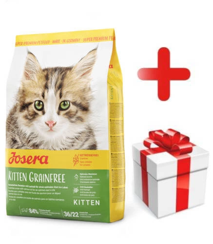 Josera kitten food best sale