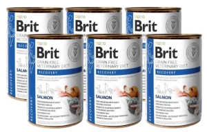 BRIT GF Veterinary Diets Recovery Salmon 6x400g - Nassfutter für Hunde und Katzen