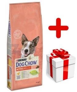 PURINA Dog Chow Adult Active Chicken 14kg + Überraschung für den Hund
