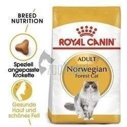 ROYAL CANIN Norvegian Forest Cat Adult 2kg +  Überraschung für die Katze