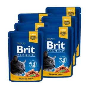BRIT Cat  Lachs und Forelle 6x100g