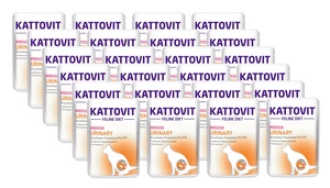 Kattovit Urinlachs 24x85g-Beutel