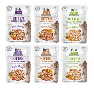BRIT CARE Katzenfilet in Soße MIX 6x85g