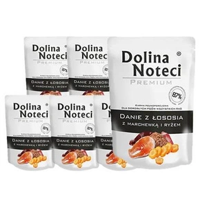 DOLINA NOTECI Lachs mit Karotte und Reis 10x300g Nassfutter für Hunde