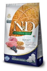 Farmina N&D Ancestral Grain canine LAMB & BLUEBERRY PUPPY MEDIUM & MAXI 12 kg