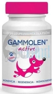 TYMOFARM Gammolen aktiv 90 Kapseln.