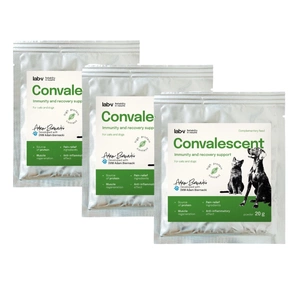 Lab-v Convalescent – Regeneration und Unterstützung des Immunsystems für Hunde und Katzen 3x20 g